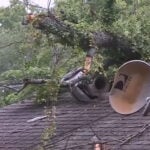 Family of quadriplegic teen displaced after tree crashes into rental