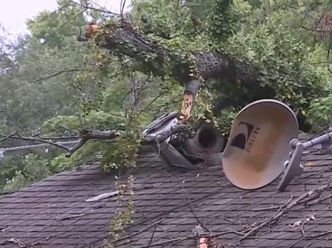 Family of quadriplegic teen displaced after tree crashes into rental