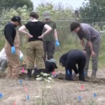 700+ dogs missing: Excavations at NorCal animal rescue reveal mass graves, decomposing animals