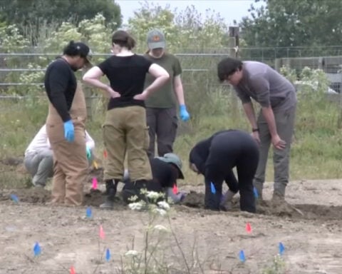 700+ dogs missing: Excavations at NorCal animal rescue reveal mass graves, decomposing animals