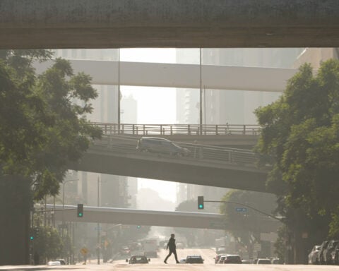 Appeals court rejects Trump EPA bid to abandon rule restricting deadly soot pollution