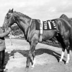 Final stretch: NYC’s last horse track, Aqueduct, ending live races