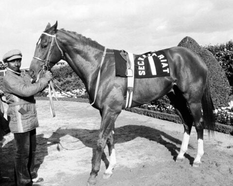 Final stretch: NYC’s last horse track, Aqueduct, ending live races