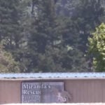 Mass graves with remains of over 100 dogs found at Northern California animal rescue
