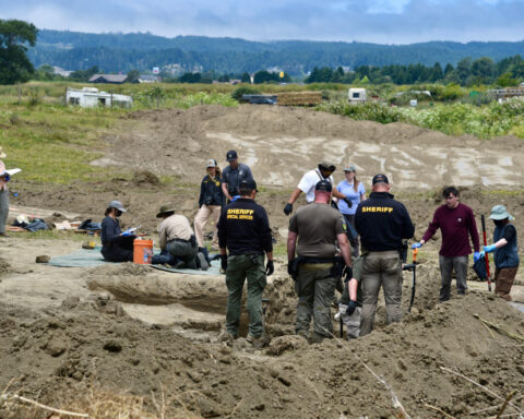 At least 117 dead dogs found in 'horrific scene' at California 'no-kill' shelter