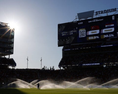 Soccer-'Boring' Bay Area confounds World Cup doubters