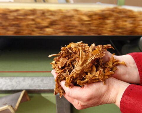 British American Tobacco cost-cutting hits 9,000 roles