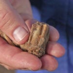 Artifacts dating back 400,000 years, found in cave, show ‘complex and rich’ pre-human society