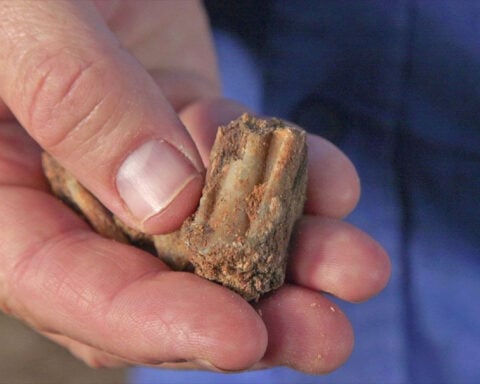 Artifacts dating back 400,000 years, found in cave, show ‘complex and rich’ pre-human society