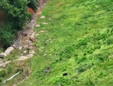 Man dies after lawn mower goes off cliff edge, coroner says
