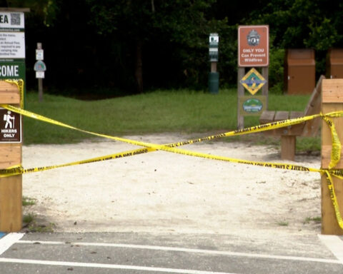 Alligators injure three, one fatally, in string of attacks in Florida