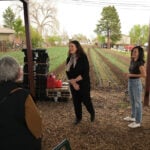 The next test of the democratic socialist movement and other key races to watch in Colorado’s primaries