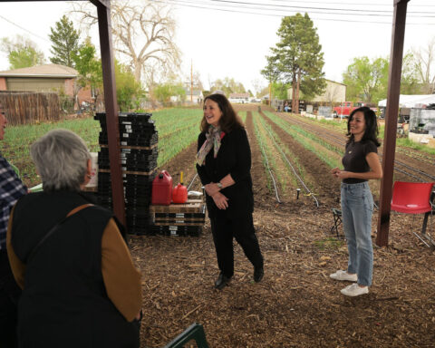 The next test of the democratic socialist movement and other key races to watch in Colorado’s primaries