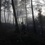 Two dead after wildfire guts house in northern Greece