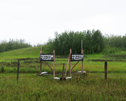Alberta's separatism debate jostles summer rodeo scene