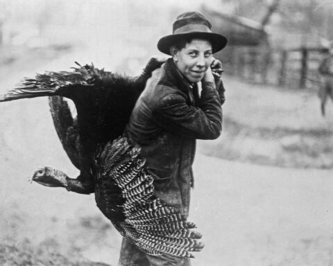 What is the most American animal?