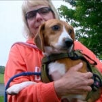 Woman spends decades rescuing homeless animals at shelter she helped build