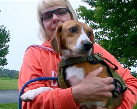 Woman spends decades rescuing homeless animals at shelter she helped build