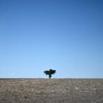 USDA announces $500 million in funding to expand US domestic fertilizer production