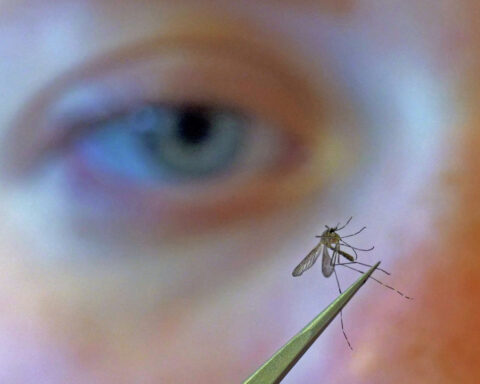 CDC urges people to prevent mosquito bites as West Nile virus season hits a strong, early start