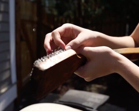 Teen has emergency surgery after unknowingly swallowing wire bristle during backyard barbecue