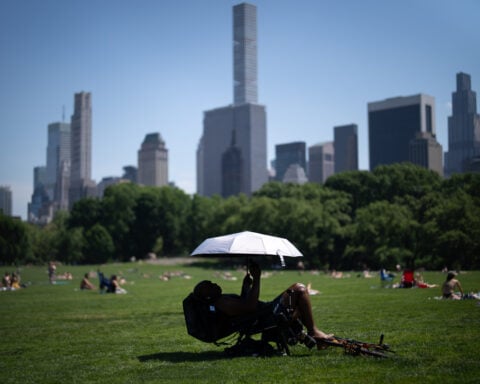 The Knicks. The World Cup. Taylor Swift's likely wedding. It's the Summer of New York