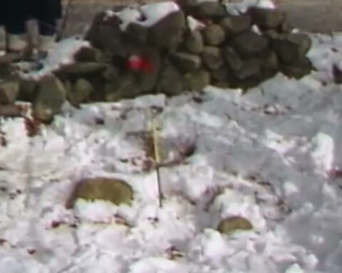 Woman charged in 1985 killing of newborn found in Massachusetts, woods