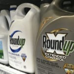 Supreme Court bars states from protecting consumers if federal agencies won’t