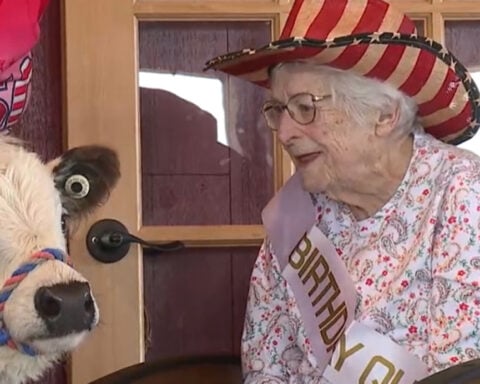 Senior citizens help train service pets