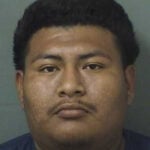 Florida man charged after severely neglected pig found