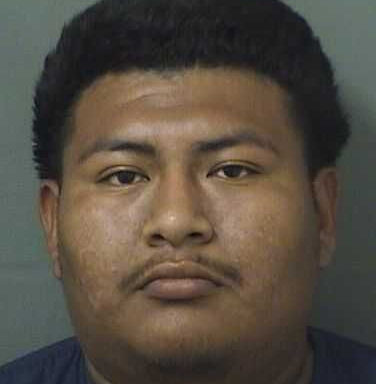 Florida man charged after severely neglected pig found