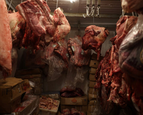 Brazil implements new regulations for meat exports to EU, Globo Rural reports