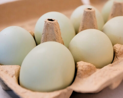 Egg producers will pay $3.3M and donate 53 million eggs to settle price-fixing claims