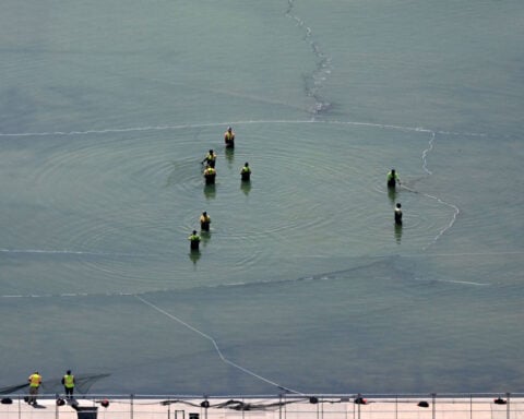 A new plan to keep the Reflecting Pool clean – including annual purge of ‘nasty’ muck