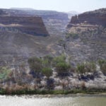 Wildfire southwest of Denver forces thousands to evacuate and destroys more than 160 structures