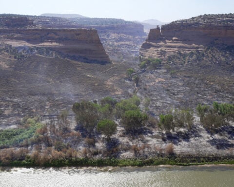 Wildfire southwest of Denver forces thousands to evacuate and destroys more than 160 structures