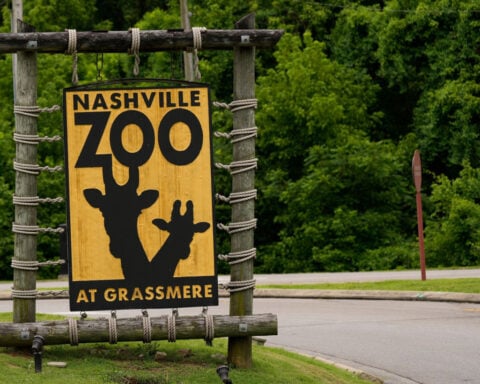 The Nashville Zoo has become an unlikely battleground in America’s data center race