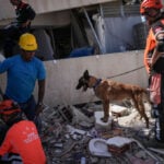 Four-legged heroes: international dog squad helps save lives after Venezuela earthquakes