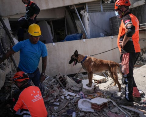 Four-legged heroes: international dog squad helps save lives after Venezuela earthquakes