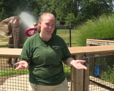 How the Maryland Zoo protects animals during extreme heat