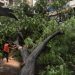 Six killed in India's Mumbai as rains wreak havoc, disrupt travel