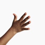 Why are our fingers different lengths?