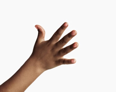 Why are our fingers different lengths?
