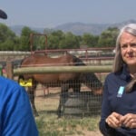 Evacuation resource described as 'Uber for horses' aims to expand as wildfires continue to burn across state