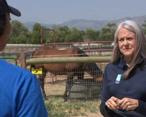 Evacuation resource described as 'Uber for horses' aims to expand as wildfires continue to burn across state