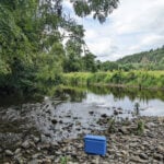Fishing for DNA – how a cup of river water can reveal secrets about human health, pollution and biodiversity