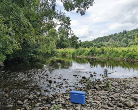 Fishing for DNA – how a cup of river water can reveal secrets about human health, pollution and biodiversity