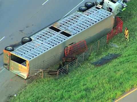 Multiple cattle dead after rollover crash on I-40 in Midwest City