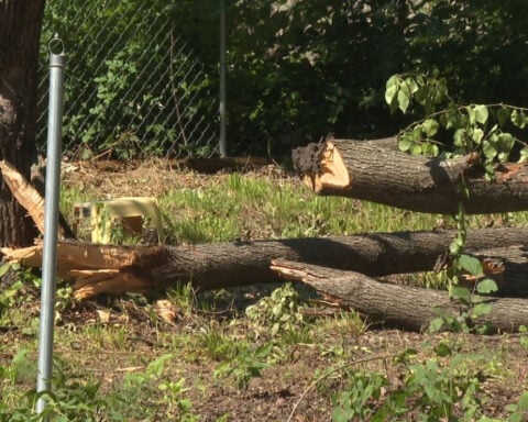 After destructive storm, Goessel asks residents to help document the damage