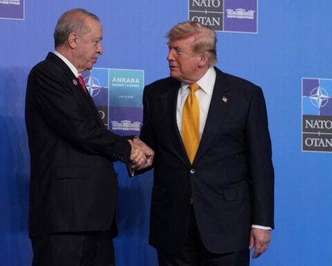 Erdogan urges NATO allies to lift defence industry restrictions at summit